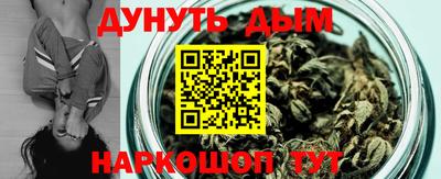 сатива Балаково