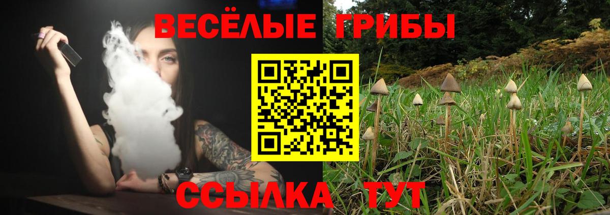 Псилоцибиновые грибы GOLDEN TEACHER Гусев